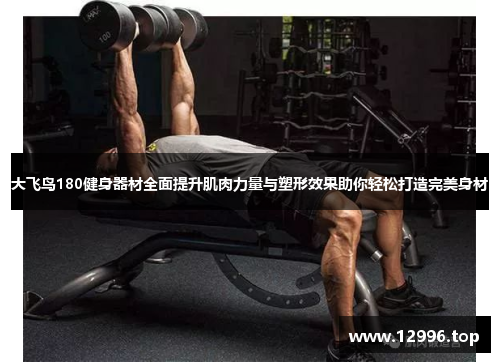 大飞鸟180健身器材全面提升肌肉力量与塑形效果助你轻松打造完美身材