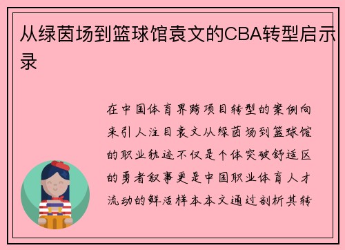 从绿茵场到篮球馆袁文的CBA转型启示录