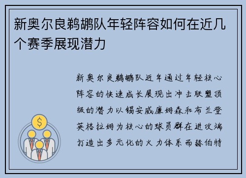 新奥尔良鹈鹕队年轻阵容如何在近几个赛季展现潜力